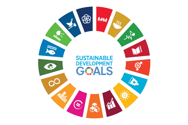 Shining Souls Trust Best NGO in INDIA Sustainable Development Goals